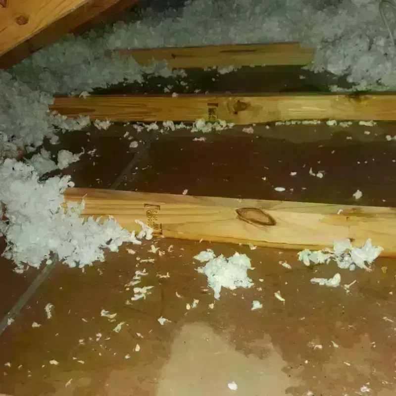 Attic Water Damage in North El Monte, CA